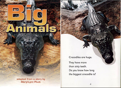big animals book