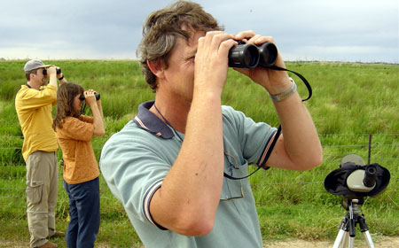 Chasing Birds - Sydney Film Festival - Birdwatching Documentary