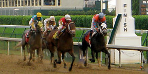 horse race finish line