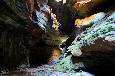 river caves canyon wollemi national park